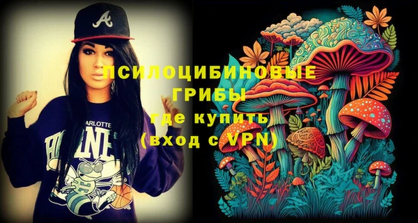 соль курить ск Ельня