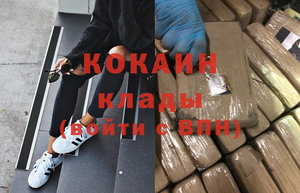 ГАЛЛЮЦИНОГЕННЫЕ ГРИБЫ Заводоуковск