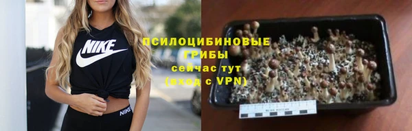 альфа пвп Гусев