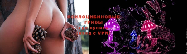 прущая мука Елизово