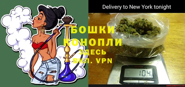 гидра Гусь-Хрустальный
