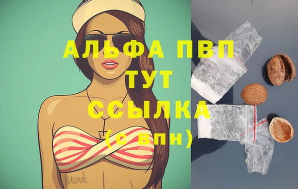 гидра Гусь-Хрустальный